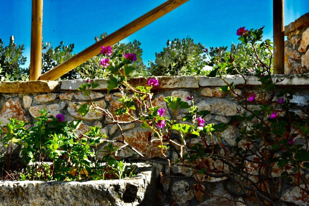 Feudo Giglio Country Charme Holiday home Calatafimi