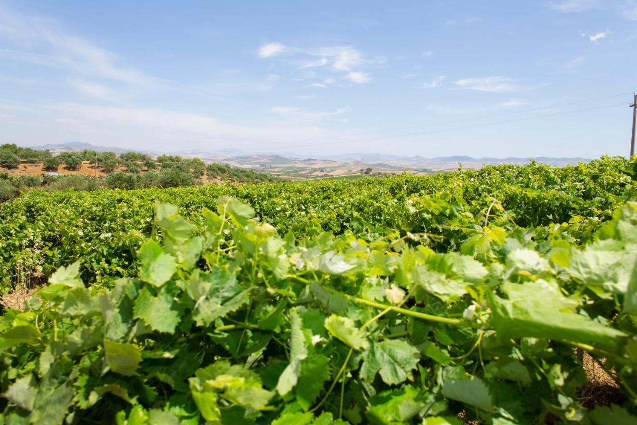 Holiday home Feudo Giglio Country Charme Calatafimi